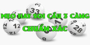 ảnh đại diện lô 3 càng miền bắc