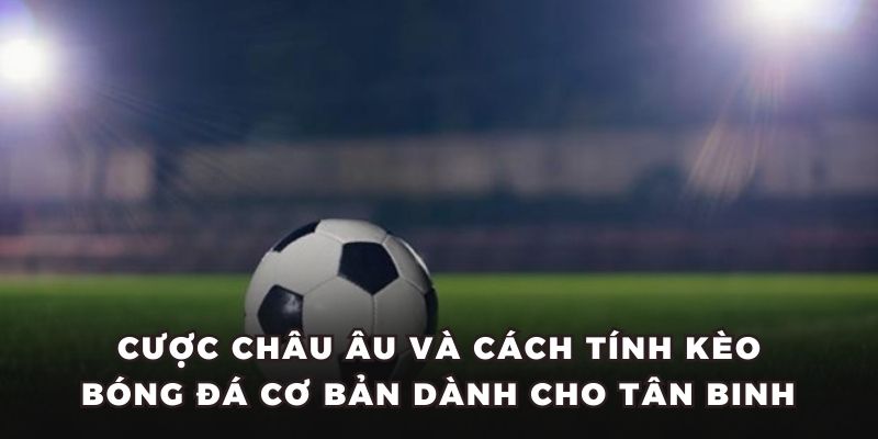 Cược Châu Âu và cách tính kèo bóng đá cơ bản dành cho tân binh 