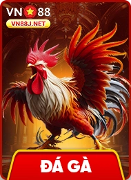 ảnh icon đá gà