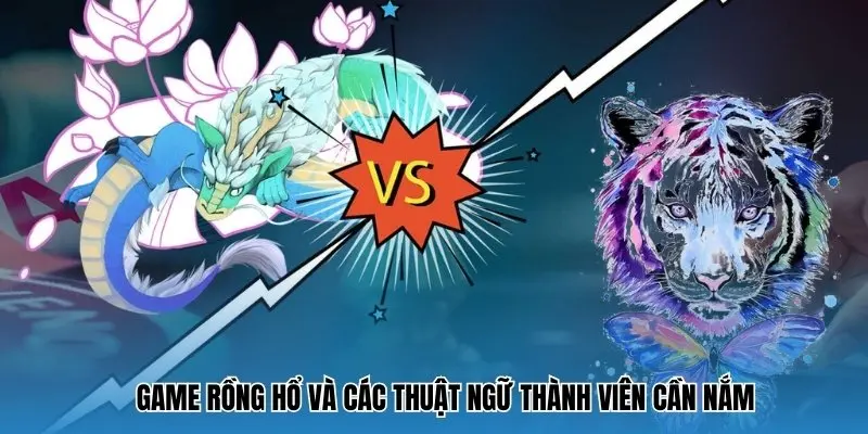 Game rồng hổ online và các thuật ngữ thành viên cần nắm